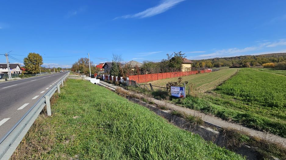 Teren de vânzare - 4000 mp stradal, DN73 Pitești - Câmpulung - Poză 6