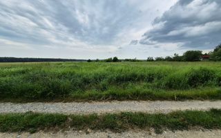 Teren intravilan langa pădure 1260 mp , deschidere 20 ml Prahova -Misl - Poză 10