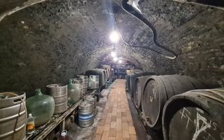 SAPIENT/TEREN INTRAVILAN 600 MP CU ANEXE ȘI PIVNITE - EPISCOPIA - Poză 8