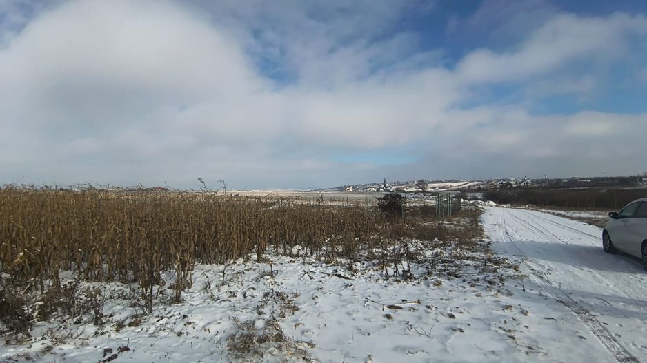 Teren de vânzare Șcheia | Sfantu Ilie | 3.361 mp - Poză 5