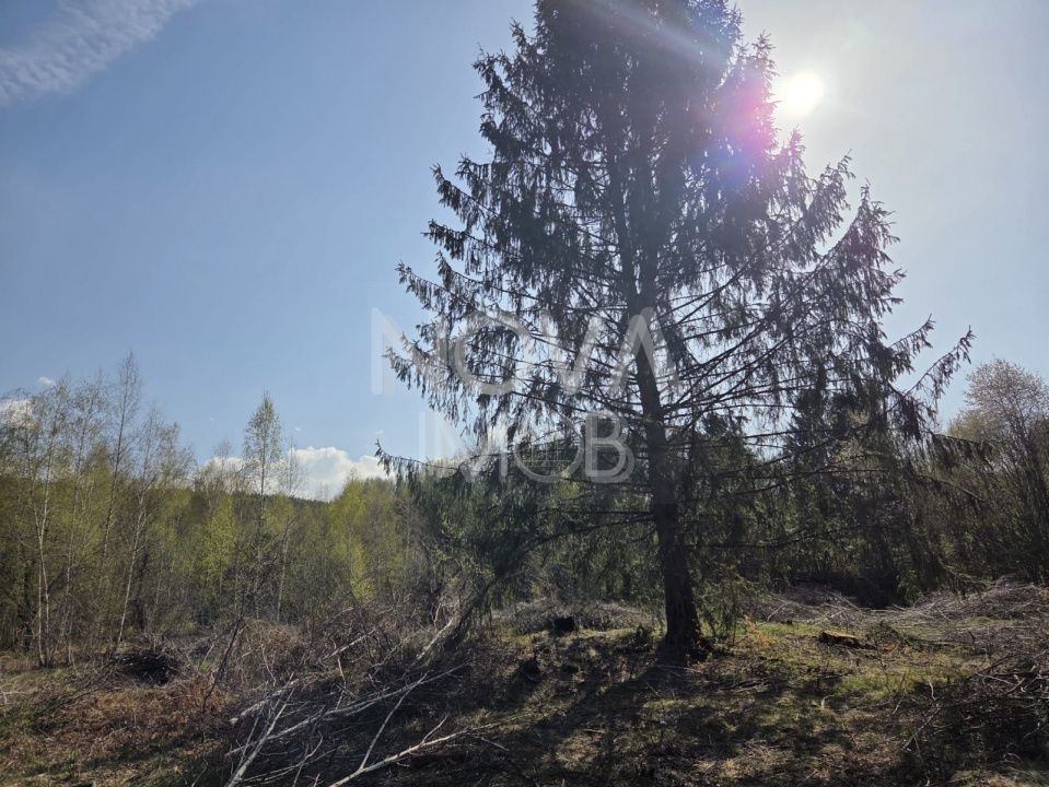 Teren intravilan de vanzare - Vistisoara - Poză 4