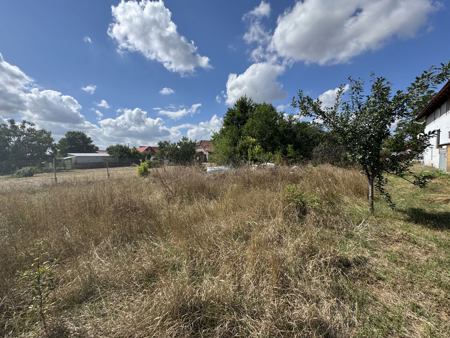 Casa Demolabila Cu Teren 1481 mp In Becicherecu Mic,Vatra Veche,Asfalt,Fs 15m - Poză 5