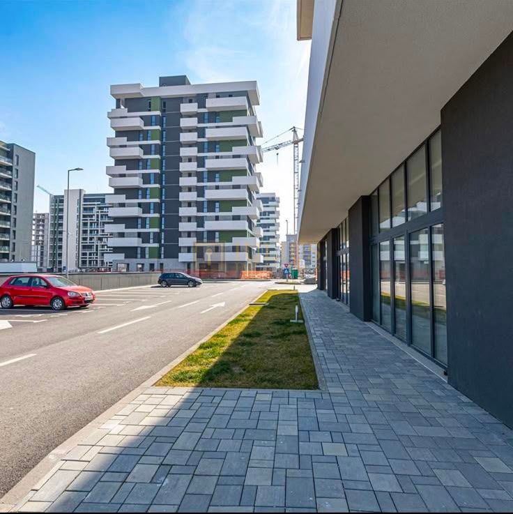 Torontalului| Ateneo| prima inchiriere| loc de parcare| clima| - Poză 8