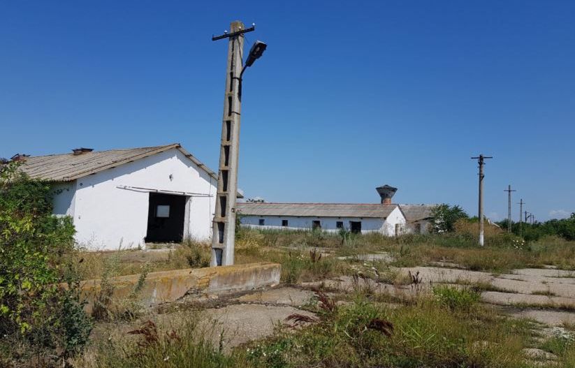 Ferma zootehnica Precistanu - Poză 2