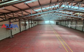 Hala industrială– 1.800 mp + birouri 400 mp | DN73, Maracineni - Poză 13