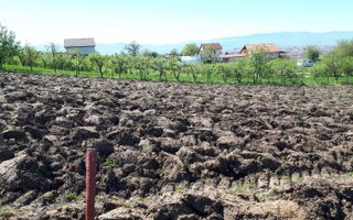 Teren de Vanzare - Gusterita - 5100mp - Intravilan - 0% Comision - Poză 4