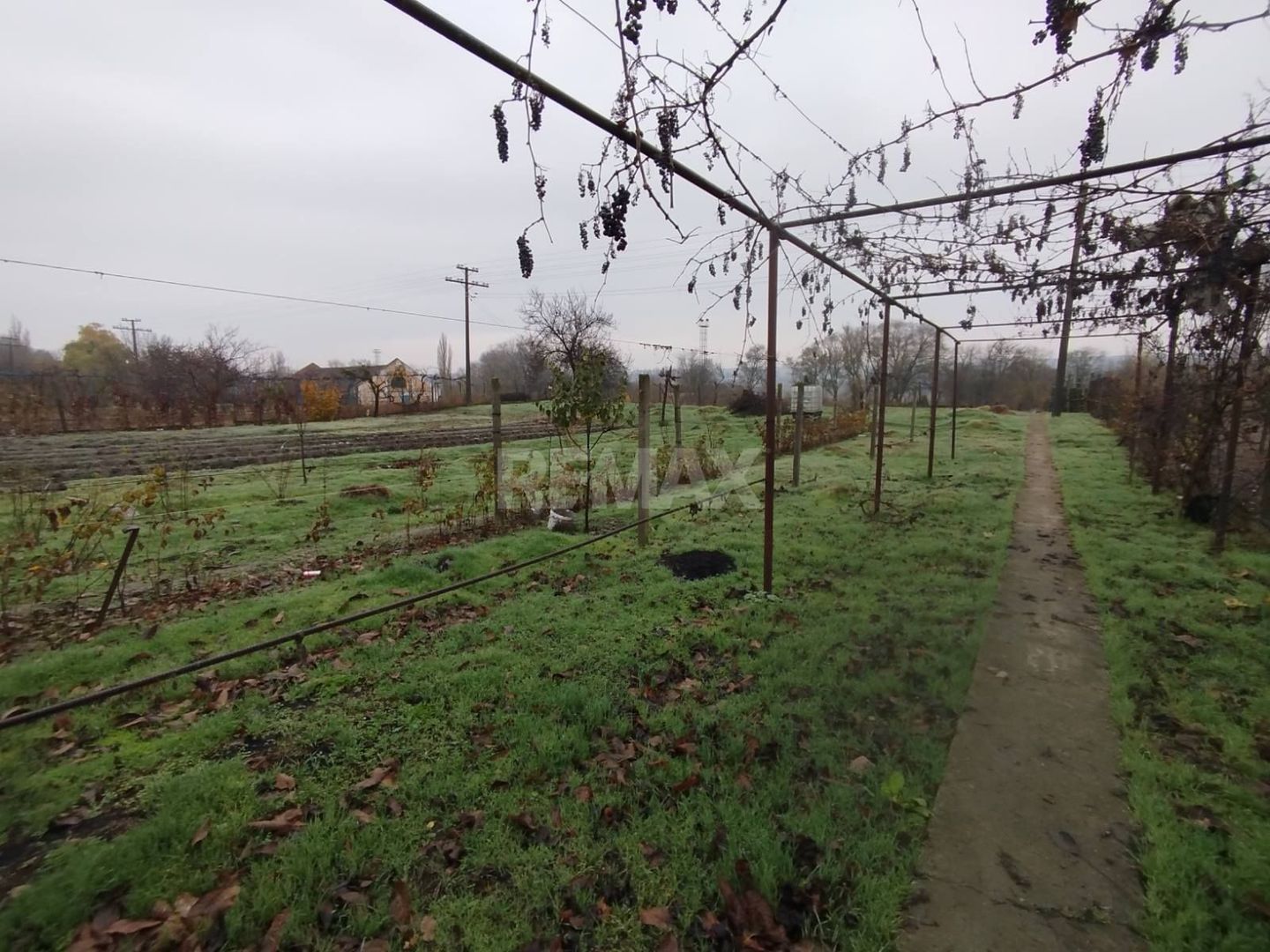 Casă de vânzare – 3 camere, teren generos 18 ari – Bulboaca, Anenii Noi - Poză 6