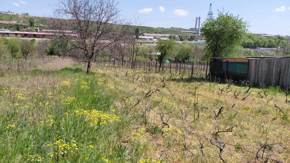 Teren intravilan 3.250 mp în Filești – Ideal pentru casă sau investiție! - Poză 6