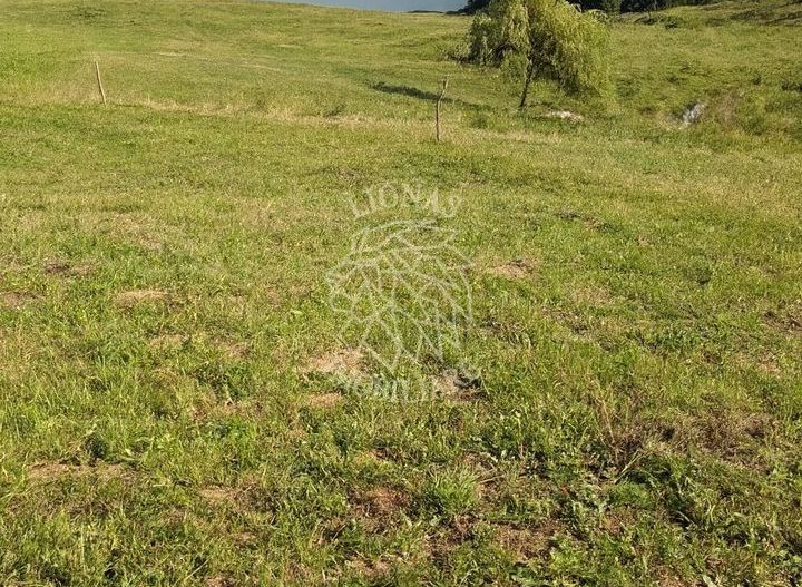 Oportunitate!Teren intravilan 61.38400mp-Parcelabil-utilitati-Colibita - Poză 5