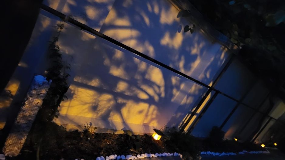 Casa 3 camere – prima închiriere, renovat - Poză 14