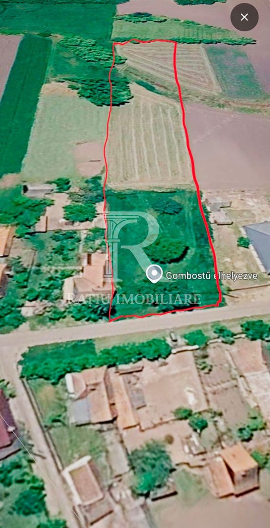 Teren intravilan 6.514mp | 39m front stradal | Ciocaia | Săcuieni - Poză 1