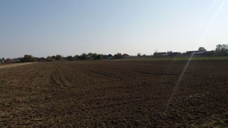 Investitie!Intravilan 55 ari capat Paulesti ( Intrare Ambud), 3.6 mf - Poză 3