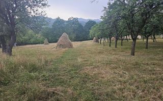 Casă 1 cameră de vânzare | Rădăcinești, Vâlcea | 5500 mp teren - Poză 8