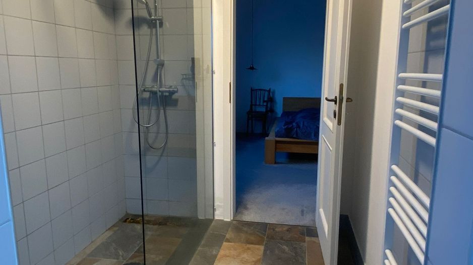 Vila Sinanadrei - Poză 10