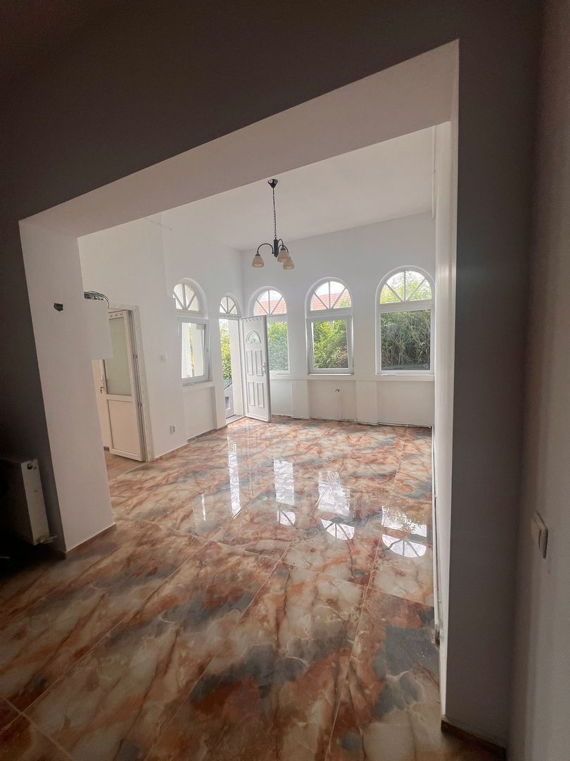 Casa de vanzare in Gruia - Poză 10