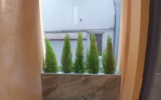 Apartament cochet Dorobanti - Aricescu - Poză 11
