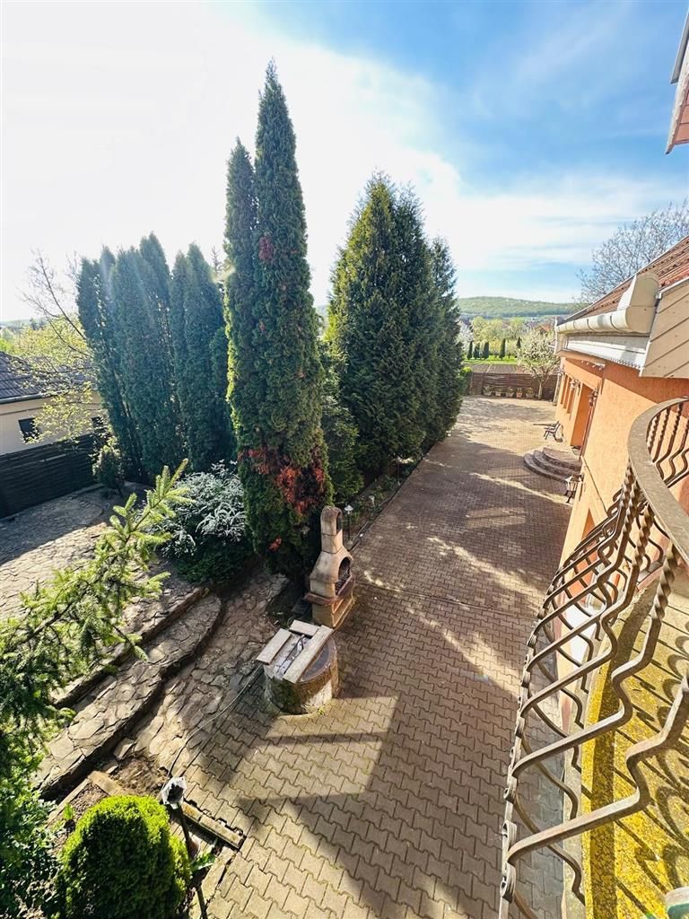 Vila remarcabila+casa boiereasca,in pretios areal de 2.100 mp, Santana de Mures - Poză 36