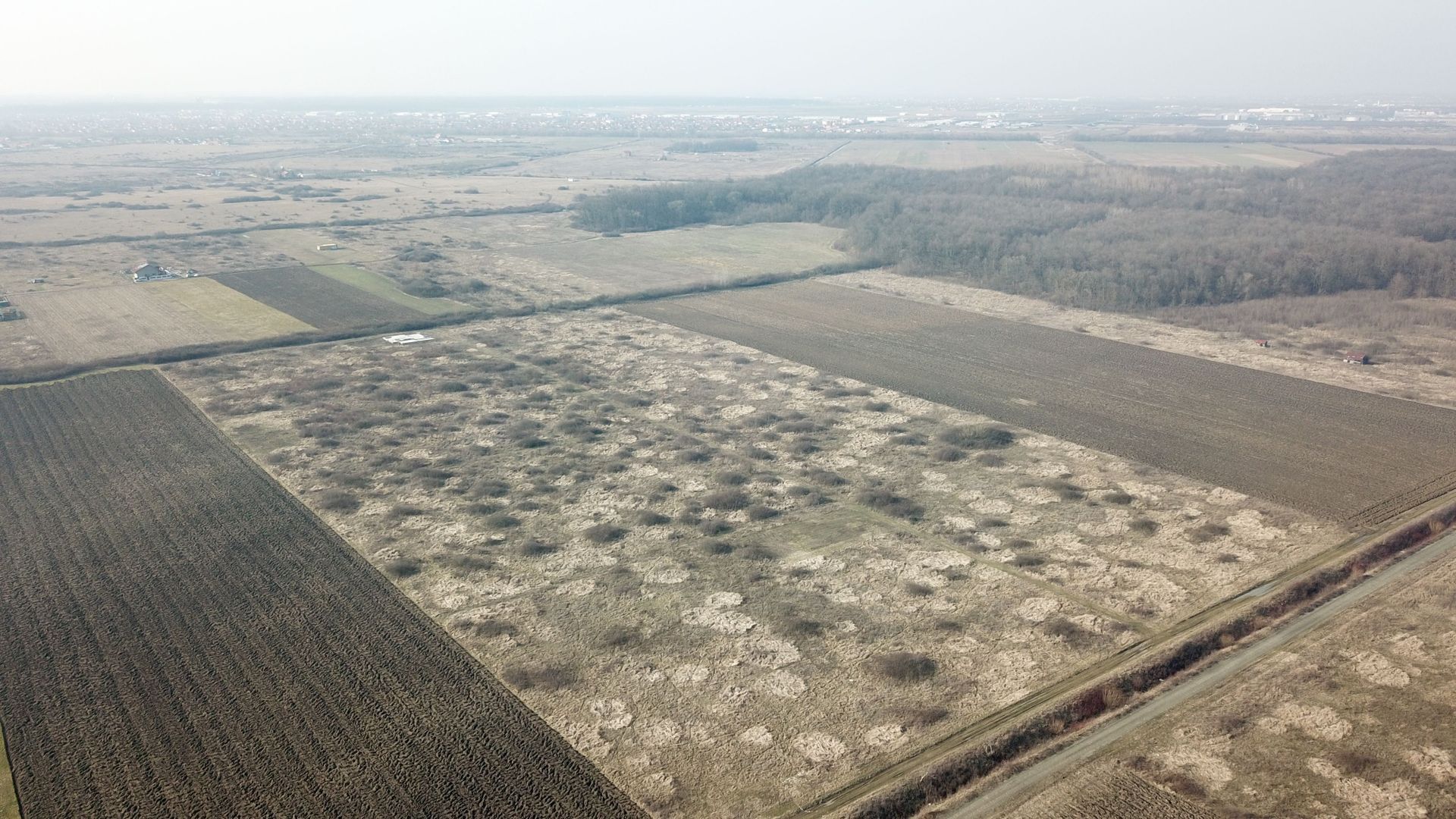 TEREN PENTRU CASA - Poză 3