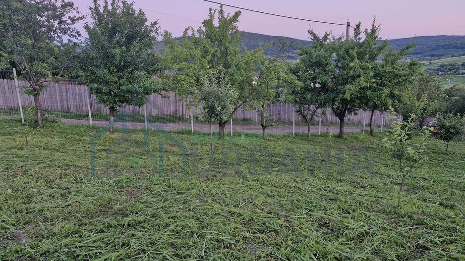 Teren intravilan de vanzare, Chicerea, 740 mp, strada Canarului, Tomesti - Poză 6