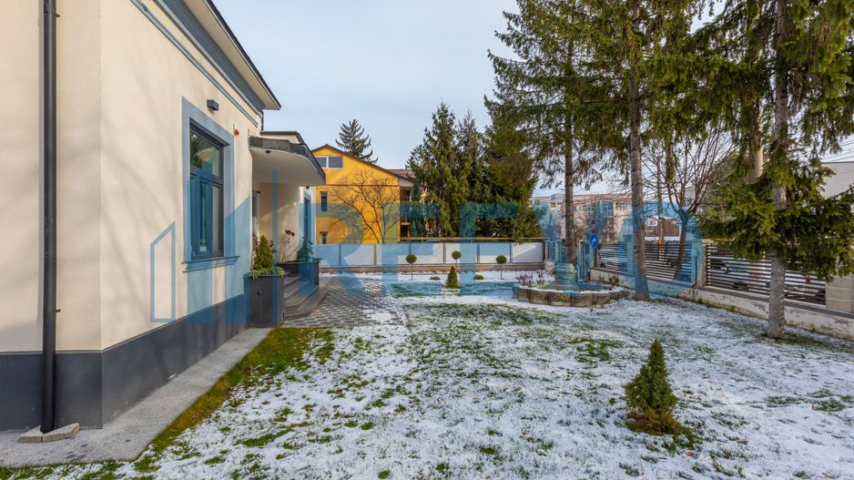 Spațiu comercial de închiriat, Ioniță S. Sturza, Bacău - Poză 27