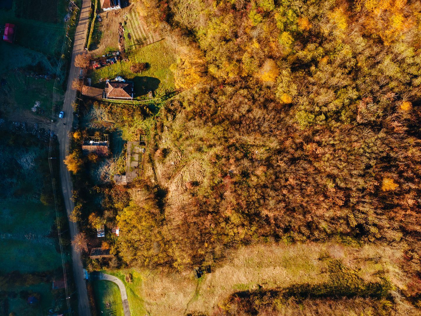 Teren intravilan Cladova - Poză 2