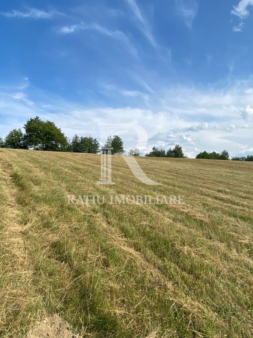 Teren Intravilan | 17.500 mp | Șinteu | Bihor - Poză 3