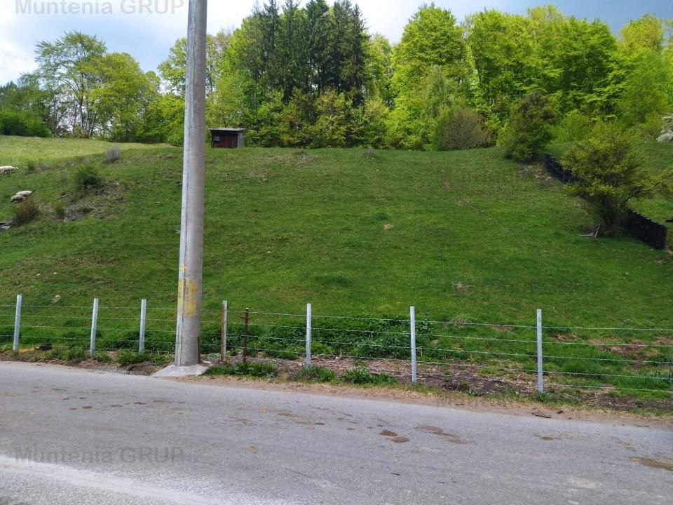 NAMAESTI - Valea Mare Pravat, 7000 mp. teren intravilan, ideal locuinta - Poză 1