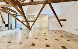 Spațiu Birou - Mansarda Cosy în Piața Unirii - Poză 11