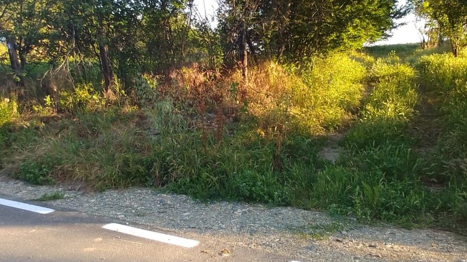 Teren intravilan 2.500 mp – Vieru, Giurgiu - Poză 3