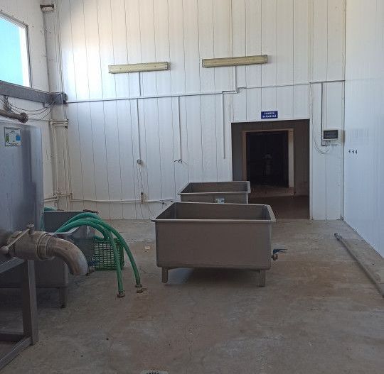 HALA ideala pentru PRODUCTIE ALIMENTARA, Poiana, Ovidiu – 827 mp, teren 4066 mp - Poză 22