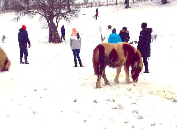 AFACERE DE VANZARE| Pensiunea SILVANKA din Valcele 3* | Langa BRASOV - Poză 10