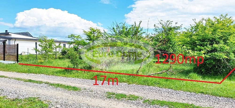 Sanpetru, str Nucului teren de 1290mp pret 42 euro/mp - Poză 1