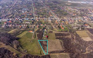 Teren intravilan în Șiria pe deal - Poză 2