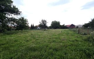 Casa 4 camere 2487 mp teren Arpasu de Jos - Poză 2