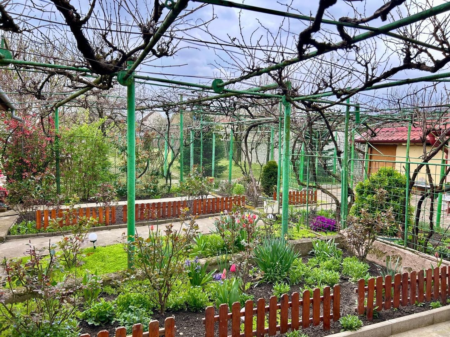 TEREN GENEROS 1000 MP - Poză 8