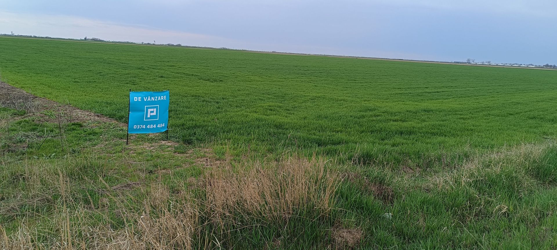 Teren extravilan 5 hectare ( zonă industrială ) Șag - Poză 14