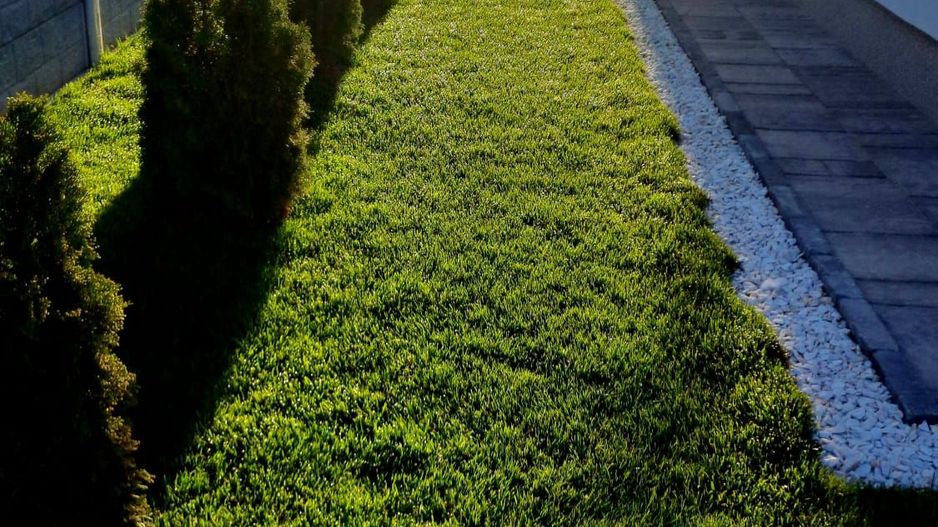 Comisiom 0% Vila 2022  teren 1000 mp Ciorogarla - Poză 40