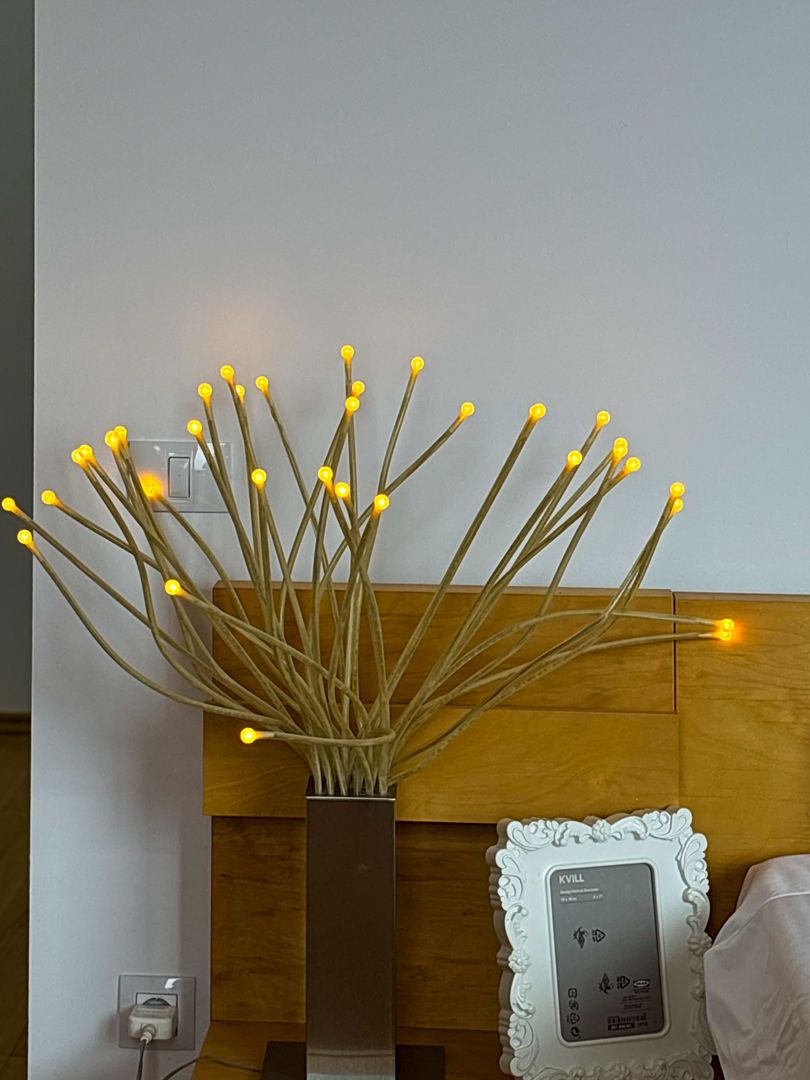 Închirie Penthouse 5 camere | Terasă 350mp - Poză 31