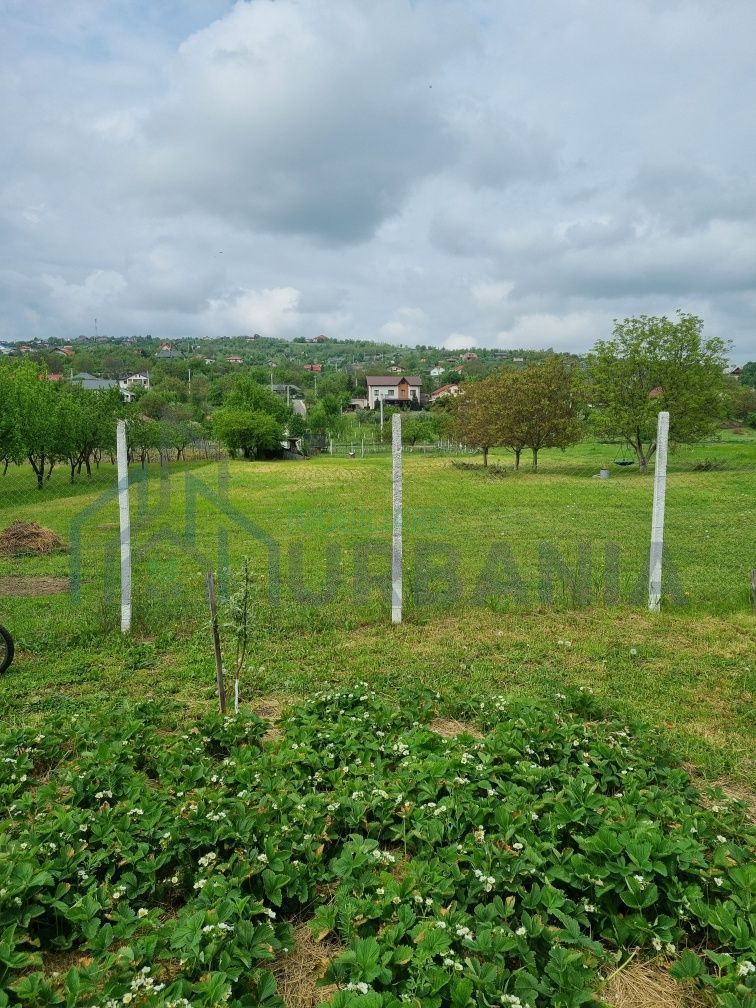 Teren intravilan de vanzare in Tomesti, Chicerea – 2 parcele cu utilitati in zona - Poză 7