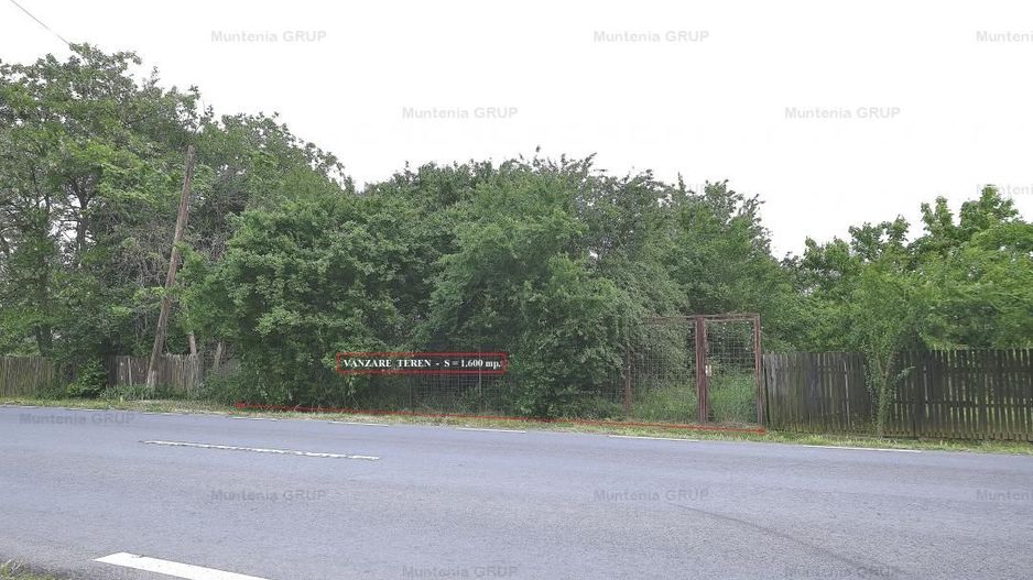 CIOLPANI  - DC 101 C, vanzare 1.600 mp. teren cu pozitie excelenta - Poză 3