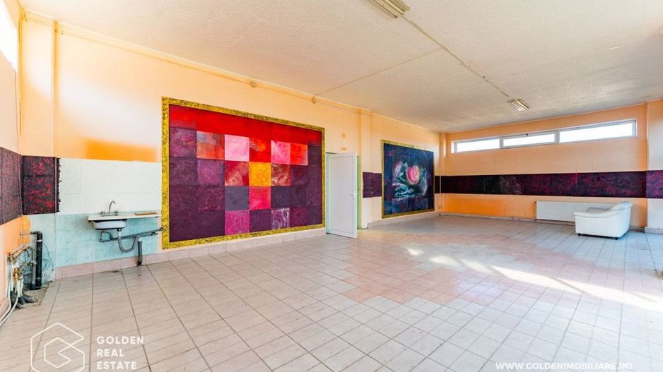 Hala pentu productie In zona Micalaca - Poză 27