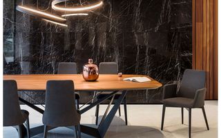 Vila superba în Mogoșoaia cu deschidere la lac - Poză 12