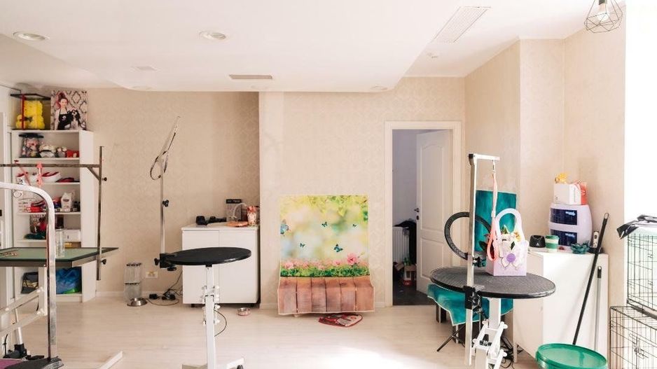 SPAȚIU VERSATIL DE VÂNZARE /  211 MP UTIL – 📍 Bulevardul Octavian Goga, Unirii - Poză 16