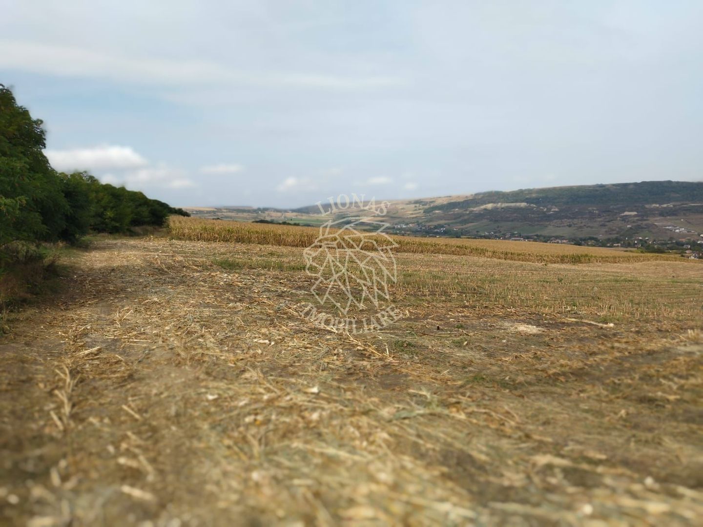 3 Parcele in Zona Fanate-oportunitate unica de investitie-Cluj-Napoca - Poză 1