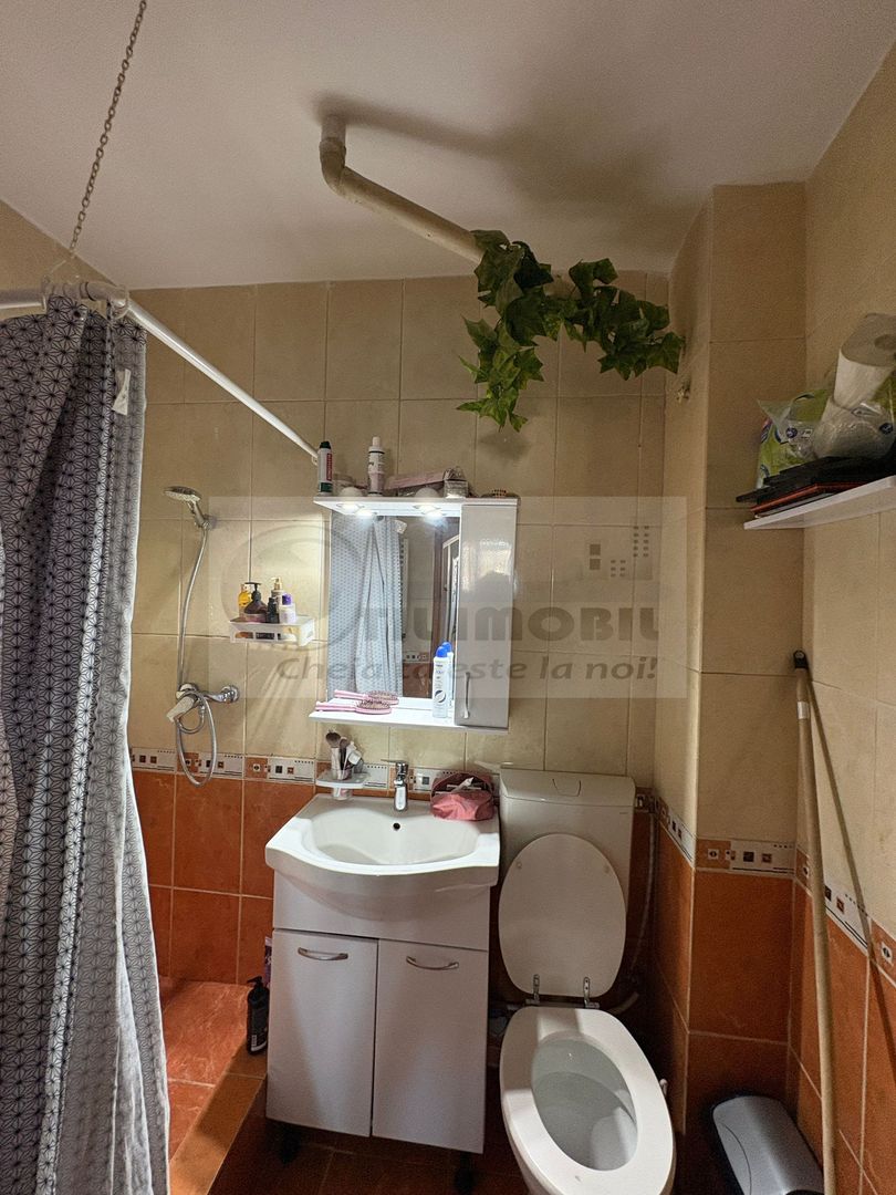 Apartament 1 camera decomandat, Bd. Independentei 350 euro - Poză 7