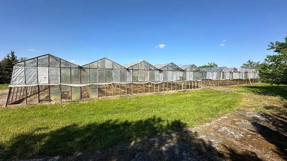 De vanzare Teren 20000MP cu sere/solarii și plantații - Poză 6