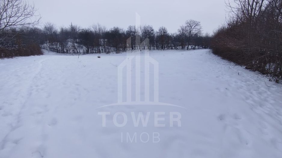 Teren intravilan 2.295 mp, deschidere 60 m – Rășinari, comision 0% - Poză 4