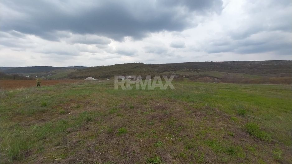 Tabăra/Orhei | 11,62 ari | Teren în inima Codrilor – Ideal pentru evadare în natură sau investiție - Poză 14