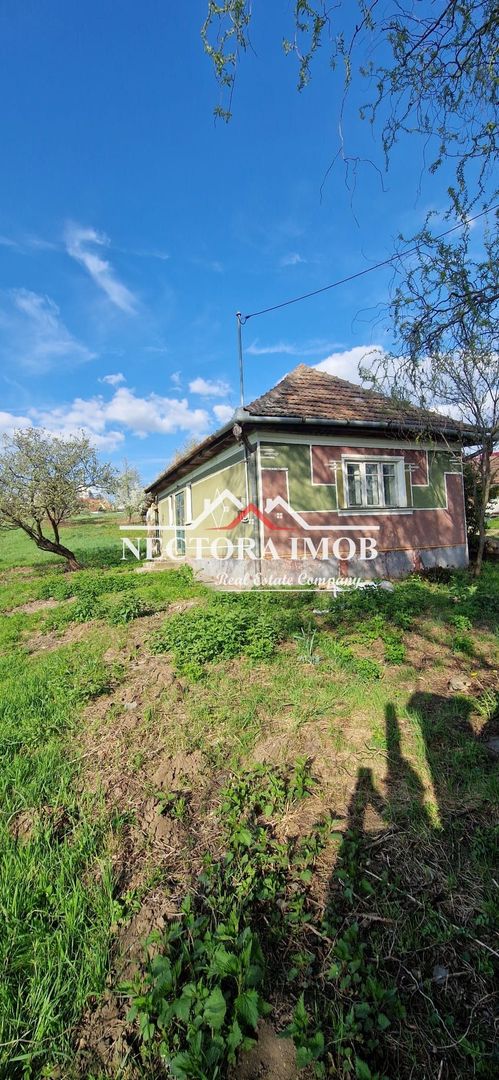 NECTORA IMOB-Casa 70 mp cu teren 951 mp, front 16 mp, Paleu Centru - Poză 3