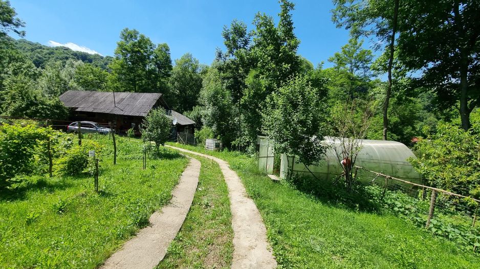 Casa de la marginea padurii! - Poză 13